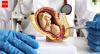 Medical miracle: Scientists create ‘artificial womb’ that could save the lives of very premature babies