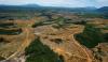 Indonesia plans to fine palm oil growers, miners $8.5 billion for forest encroachment