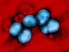 Colombia Confirms First Case of H3N2 Influenza