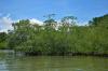 Costa Rica Mandates Mangrove Restoration at RIU Guanacaste Hotel