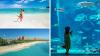 Book a trip to Atlantis Bahamas for the ultimate luxury getaway 