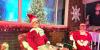 Vienna couple creates free holiday display with life-sized elves