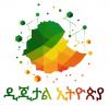 Digital Ethiopia 2025 Success Marks Major Milestone in National Digital Transformation