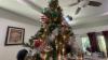 Tampa Bay family shares the impact of deportations this Christmas