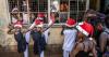 Best photos of the dayChristmas ballet in Nairobi to prayers in Bethlehem