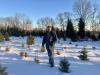 'It's tradition' — Maine Christmas tree farmers say sales were up, and so was demand for real trees