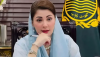 Punjab CM Maryam Nawaz pledges stronger mauritius ties