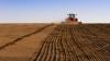 Kazakhstan Expands Grain Processing in $ 2.6 Billion Agriculture Drive