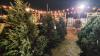 What to know about Christmas tree recycling in the Wilmington area