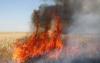 Da’esh claims its responsibility for burning agricultural crops