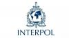 INTERPOL arrests 574 suspected cyber fraudsters, recovers $3 million in Nigeria, Ghana, other countries