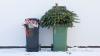 Christmas recycling and where to take it in Nashville