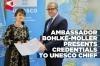 Namibia presents credentials to new UNESCO Director-General