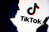 TikTok is the latest Big Tech company to take media regulator to court