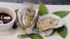 Salmonella outbreak linked to raw oysters infects 64 people across 22 states, including Arizona