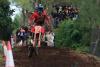 Environmentalists condemn Coney Island motocross event