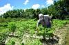 Guyana’s first Agri-Tourism policy poised to create 1,500 indirect Jobs