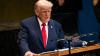 United States has become ‘real’ United Nations: Trump