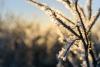 Weekend outlook: Luxembourg braces for dry cold snap after snowless festive period