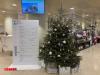 Christmas at the CHL: How do Luxembourg's hospitals prepare for the holidays?
