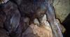 'Biggest yet' stalactite cave discovered in West Bank