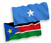 Mogadishu and Juba affirm commitment to territorial integrity