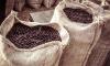 Uganda invites Russia to joint coffee processing projects