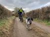 Dog-lover and bike-lover? Here are five ways you can take your dog cycling with you