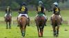 From Loss to Legacy: How Sekou McDonald Founded the UK’s First Jamaican Polo Team