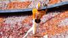 Tennessee vs. Illinois opt-outs in Music City Bowl. Here's full list