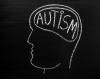 Science Baltimore Sun Scientists identify 4 main types of autism