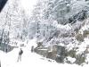 Snowfall blankets Kalam, draws tourists to five-day snow festival