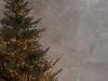 Greeley GROW Center offers free Christmas tree recycling for all real trees