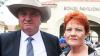 One Nation’s Pauline Hanson as popular as ever as Australians find Barnaby Joyce increasingly likeable