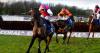 Haiti Couleurs has sights set on Cheltenham Gold Cup