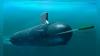 What Makes Heavyweight Torpedoes Deadly? India Signs $2.1B Deal With Italy