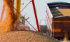 Kazakhstan boosts grain exports to Afghanistan and regional markets