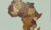 Make Africa Borderless Now: The People’s Movement for Continental Integration