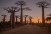 Madagascar’s conservation moment: Local leadership amid political change