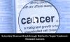 Scientists Discover Breakthrough Method to Target Treatment-Resistant Cancers