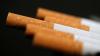 Herbal cigarettes can cause more harm than regular tobacco cigarettes, finds new IIT study