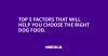Top 5 factors that will help you choose the right dog food.