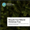 Cayman: Recycle Your Natural Christmas Tree 2026