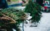 Christmas tree disposal stations open in Tallinn and Tartu