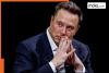 Elon Musk's SpaceX secures 11th position on World's Most Valuable companies list, Nvidia tops the chart, Amazon and Google rank at...