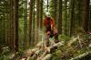 Linking forestry and social protection for sustainable agrifood systems