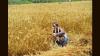 Agri dept to provide digital IDs to 20 million farmers for better rollout of schemes