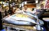 Stocks improving: 'Tuna King' pays record $3.2 mn for bluefin at Tokyo auction