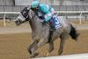 Two new names on Kentucky Derby prospects list