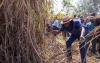 Kenya exits Comesa safeguard rule as sugar reforms take shape